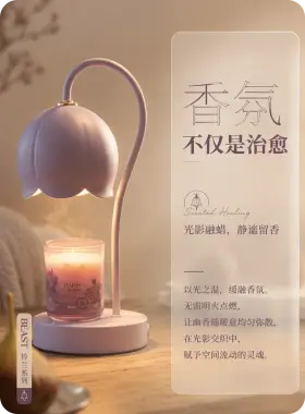 粉色家居灯具结构细节图